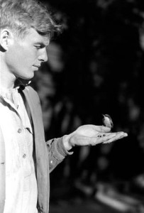 RANGER NATURALIST EDWIN MCKEE (IN PROFILE) WITH PYGMY NUTHATCH BIRD IN HAND. CIRCA 1929. NPS, ENSOR